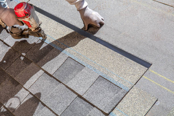 Best Storm Damage Roof Repair  in Madison, NE